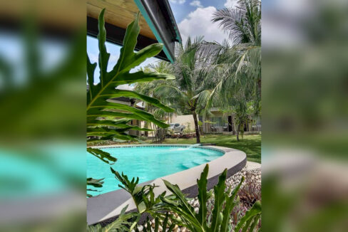 Swimming pool framed by tropical plants with the guest wing behind
