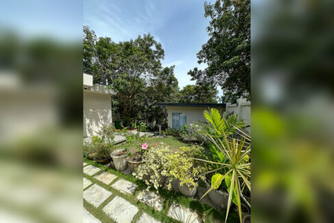Flowering garden with stepping stones and potted plants beside the cottages