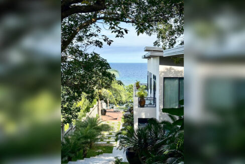 Sea view framed by trees from the private beach resort in Argao