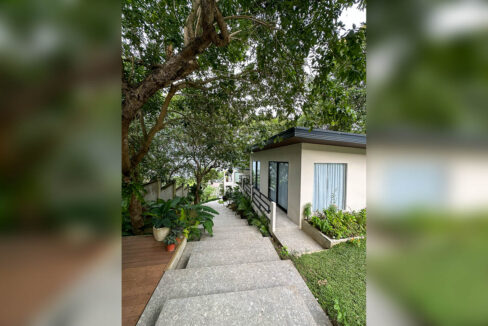 Terrazzo stairs and timber deck leading past a guest cottage