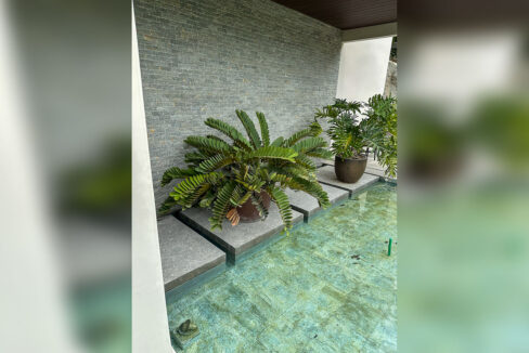 Potted cycads on floating stone slabs over a reflecting pool