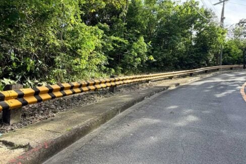 Paseo Pantaleon curving uphill past the wooded lot frontage and guardrail