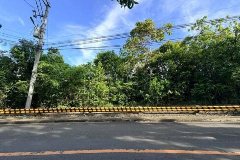 Straight-on view of the 12.44 m lot frontage with trees above the roadside guardrail