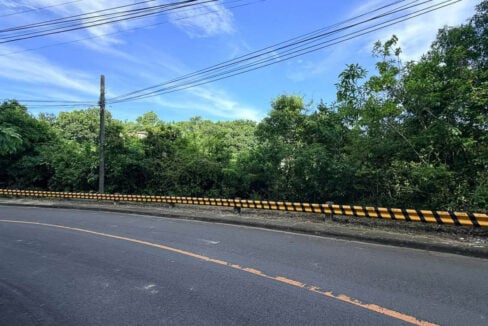 Wide view of the tree-covered lot along the bend of Paseo Pantaleon