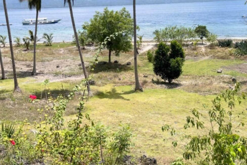 Coconut palms and lawn running down to the sea, with a boat offshore