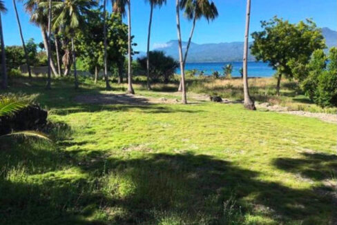 Grassy lawn under coconut palms facing the sea and the mountains of Negros