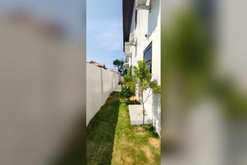 Side yard with lawn and young trees along the perimeter wall of the Corona del Mar house
