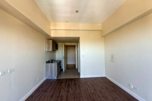 Studio interior looking back to the kitchenette, entry hall and bathroom door