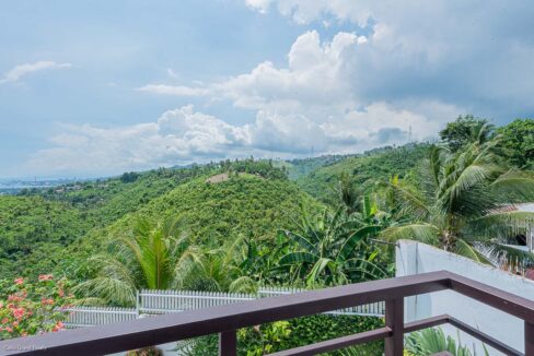 Hillside view of palms and green slopes from the upper balcony