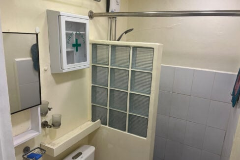Shower area behind a glass-block wall, with a water heater and towel bar