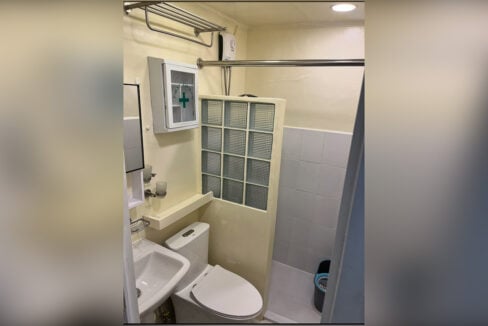 Bathroom with a toilet, pedestal sink and glass-block shower partition